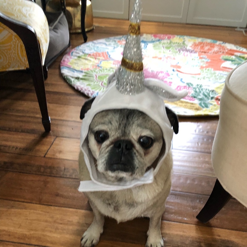 Meet your Posher, Lindsey